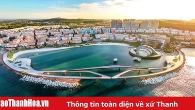 Việt Nam có thêm một hãng hàng không mới