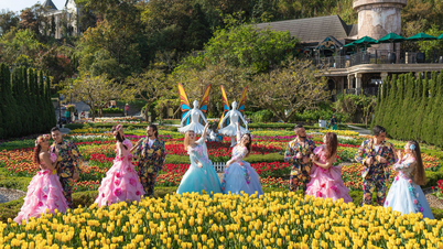 Top 5 most attractive festivals in Da Nang not to be missed this year