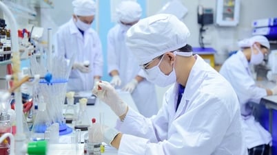 القرار 57: فتح المجال الإبداعي للعلماء