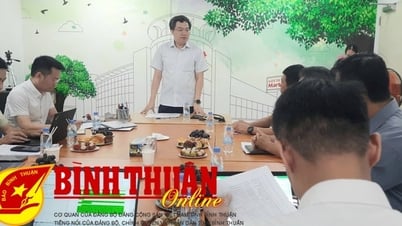 中央学際検査チーム：ファンティエットの食品生産・取引施設の検査