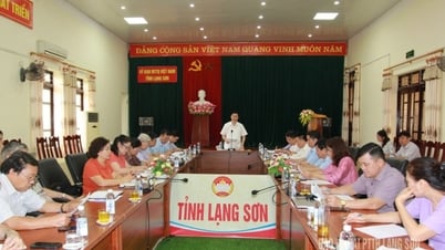 Phản biện xã hội dự thảo Nghị quyết hỗ trợ bố trí dân cư giai đoạn 2021–2025, định hướng đến 2030 - Báo và Đài Phát thanh Truyền hình Lạng Sơn