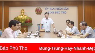 Đẩy nhanh tiến độ giải phóng mặt bằng Dự án đường dây 500kV Lào Cai - Vĩnh Yên