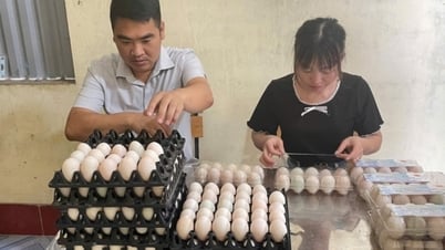 Người đưa thương hiệu trứng vịt biển Đồng Rui vươn xa