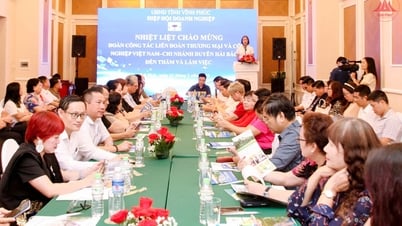 Kết nối hợp tác giữa Hiệp hội Doanh nghiệp tỉnh Vĩnh Phúc và Liên đoàn Thương mại và công nghiệp Việt Nam - Chi nhánh duyên hải Bắc Bộ