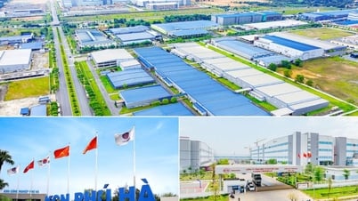 Viglacera는 "2025년 ESG 녹색 베트남 산업단지 10대"에 선정되어 영광입니다. - Viglacera Corporation