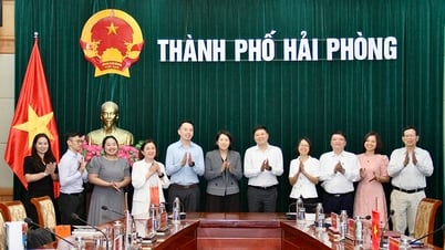Haiphong und Singapur verstärken ihre Zusammenarbeit in den Bereichen Hochtechnologie, Seehäfen und Logistik.