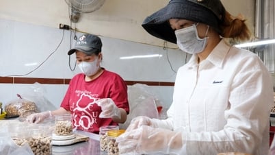 Nâng tầm thương hiệu "Hạt điều Đạ Huoai"