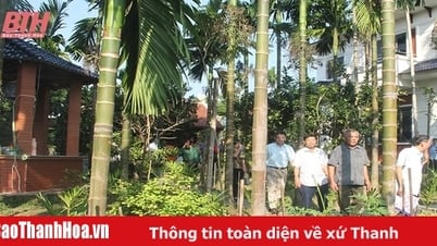 Hiệu quả kép từ vườn cau sinh thái