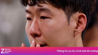 Son không có huy chương vô địch Europa League