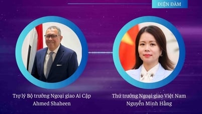 Ägypten möchte die Zusammenarbeit mit Vietnam stärken und vertiefen