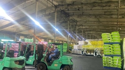 Министерство сельского хозяйства и охраны окружающей среды начинает масштабную кампанию по борьбе с контрабандой и поддельными товарами - газета и радиостанция Lang Son