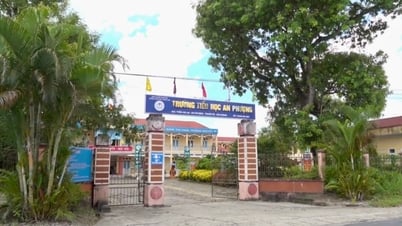 Un grupo de casos de varicela apareció en una escuela del distrito de Thanh Ha.