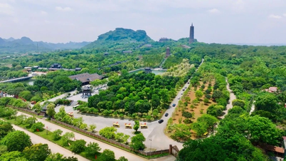 Ninh Binh : Activité solennelle pour honorer les reliques du Bouddha