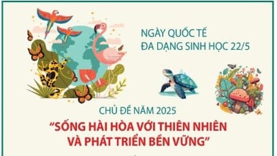 Ngày Quốc tế Đa dạng sinh học 22-5: Vì sự phát triển bền vững của hành tinh