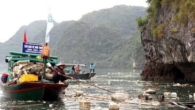 Tàu du lịch vịnh Hạ Long bị dừng hoạt động vì để khách dùng chai nhựa