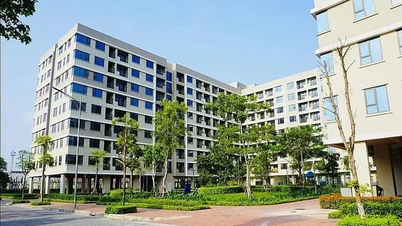 TP Hà Nội kiến nghị rút ngắn thời gian lựa chọn chủ đầu tư, thủ tục đầu tư dự án nhà ở xã hội