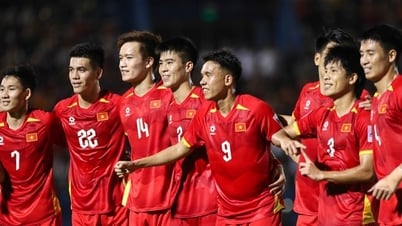 Lista del equipo de Vietnam que jugará contra Malasia: Cong Phuong regresa, Cao Colgante Quang Vinh se une por primera vez