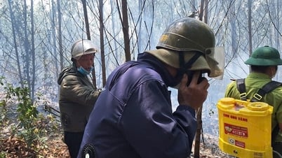 Rechtzeitiges Löschen von Waldbränden