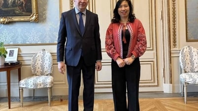 Deputy Foreign Minister Le Thi Thu Hang visits and works in Sweden