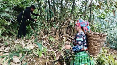 イエンバイは貧困を持続的に削減するために生計の多様化を推進している