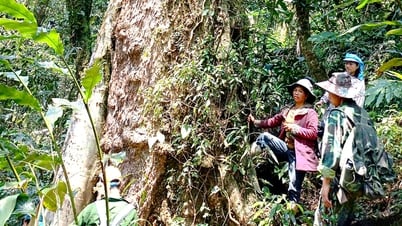 ナムダン村の森林保全のための重要な資源