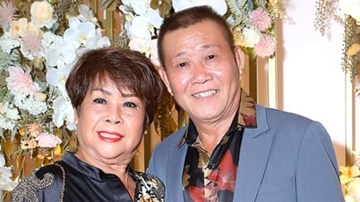 La chanteuse Le Hai, épouse de l'artiste Vu Thanh, est décédée subitement
