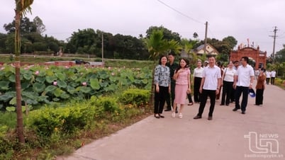 Promoción del papel del Frente de la Patria de Vietnam en la protección del medio ambiente