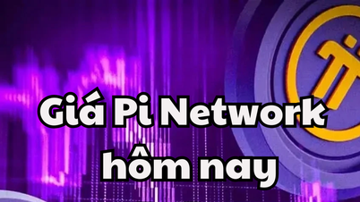 Pi-Netzwerkpreis heute, 22. Mai 2025: Pi-Preis erholt sich aufgrund der Auswirkungen von „Walen“