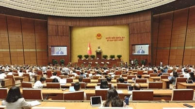 수업료 면제 및 지원 정책: 공정성 확보를 위한 양식 연구 필요