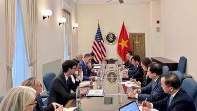 Les négociations commerciales réciproques entre le Vietnam et les États-Unis aboutissent à des résultats positifs