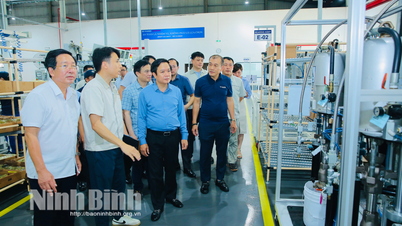 Chairman of the Provincial People's Committee visited and encouraged production and business