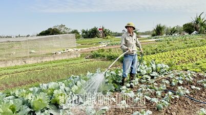 Improve people's income in building new model rural areas, improve