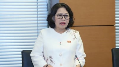 Đại biểu lo tư tưởng 'tỉnh giàu, tỉnh nghèo' gây thiếu công bằng hỗ trợ miễn học phí