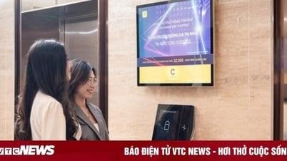 건축가 엘리베이터 커뮤니케이션: 광고의 '바다' 속에서 브랜드가 눈에 띄지 않도록 하기
