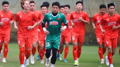 تم استدعاء لاعب فيتنامي أمريكي آخر إلى المنتخب الوطني.