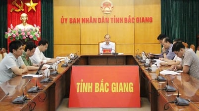 Национальный онлайн-семинар по проекту «Интернационализация вьетнамской культуры и вьетнамизация международной культуры»