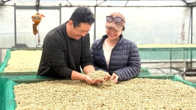 Thách thức thuế quan trong xuất khẩu hàng hóa từ Lâm Đồng sang Hoa Kỳ