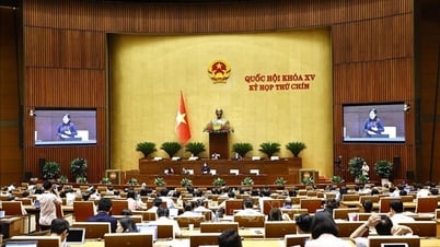 Ngày 22/5, Quốc hội thảo luận Nghị quyết về miễn học phí tại các cơ sở giáo dục
