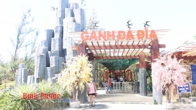 Ganh Da Dia – ein attraktives Touristenziel