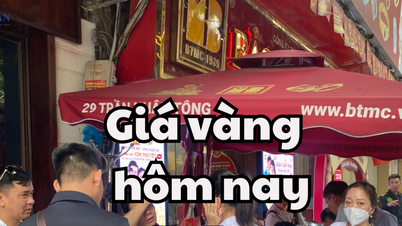 Giá vàng hôm nay 22/5/2025: Cơn lốc tăng giá càn quét giá vàng trong nước và thế giới
