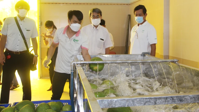 Focus on developing collective economy and cooperatives