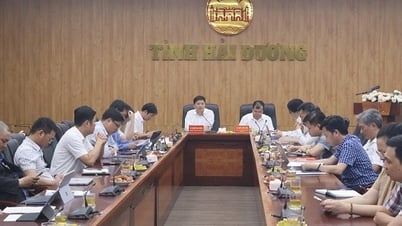 하이즈엉-하이퐁, 합병 후 IT 인프라 구축 및 디지털 전환 계획 합의