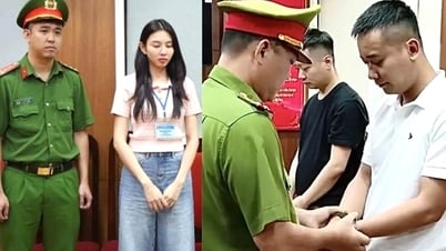 « Long slide » de l'affaire Thuy Tien, Quang Linh Vlogs – Leçons pour célébrités