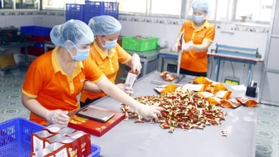 OCOP-Produkte auf ausländischen Märkten erhältlich