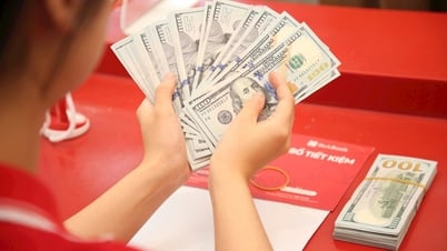 Tỷ giá USD hôm nay 22/5/2025: USD tiếp tục giảm 3 ngày liên tiếp