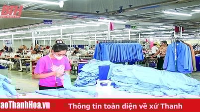 L'image de marque verte : une tendance inévitable sur le marché moderne