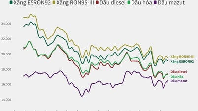 El precio de la gasolina bajó y el precio del petróleo subió en el período operativo de hoy, 22 de mayo.