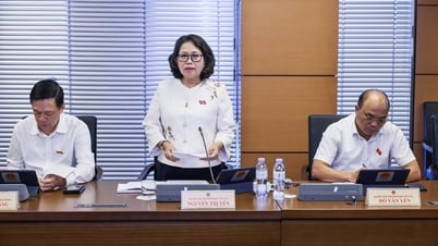 Kostenlose Studiengebühren: Ein fairer Schritt vorwärts von einer großen Politik