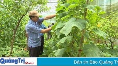 Mô hình trình diễn thành công - Đòn bẩy cho hướng sản xuất nông nghiệp mới