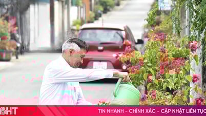 Đường hoa tô màu đô thị văn minh dưới chân núi Hồng